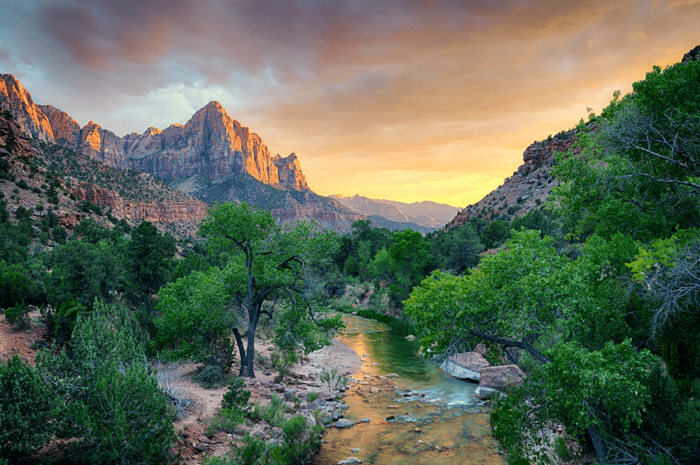 Zion_Watchman_small.png