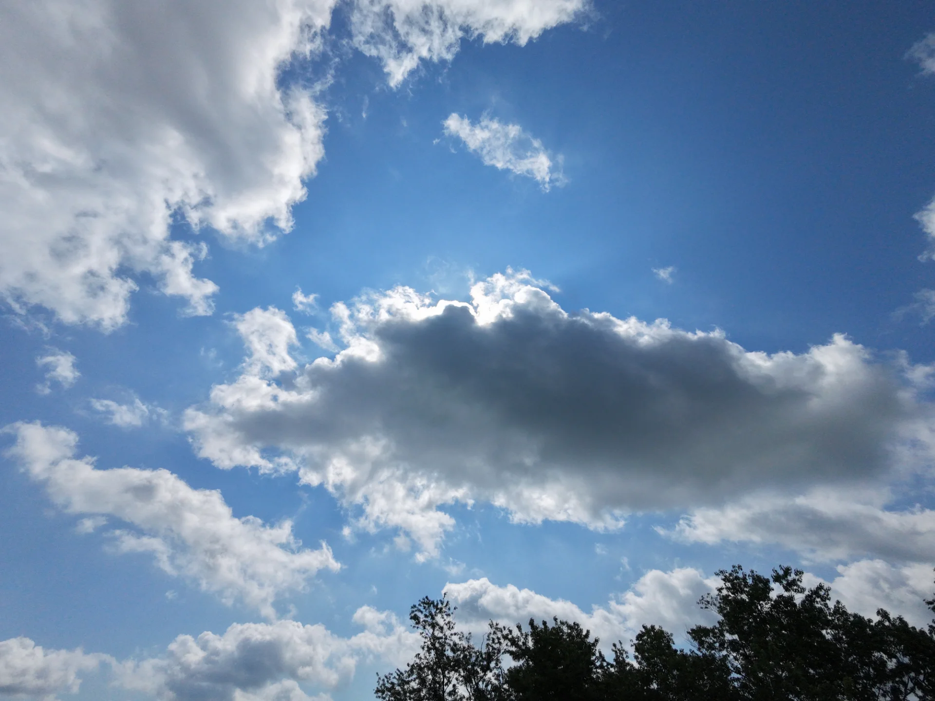 dji_fly_20260806_103908_0106_1786027210851_photo_beautify.webp