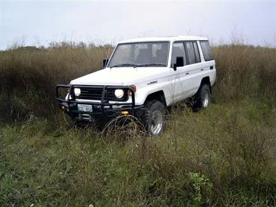LC 1.webp