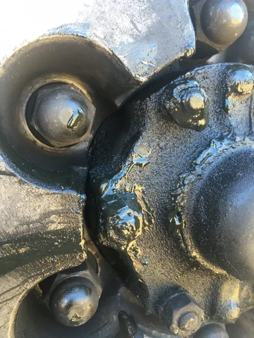 Passenger-leaking birfield.webp