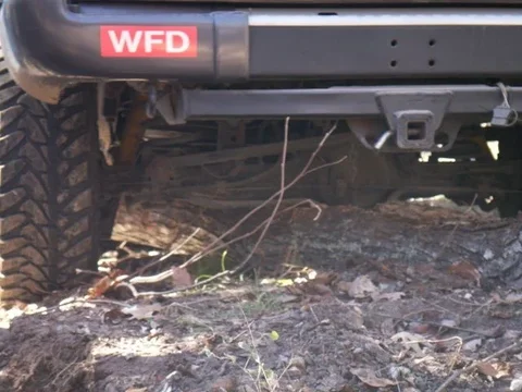 WFD on Log.webp