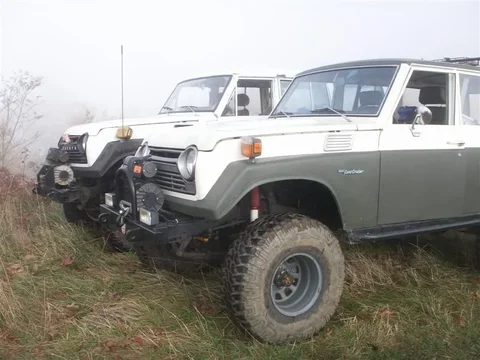 pumpkinpigrun07 035 (Medium).webp