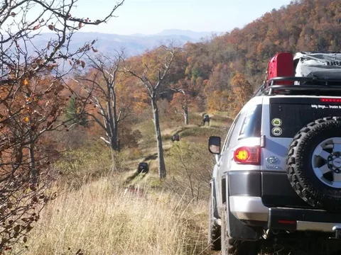 new downloads 088 (Medium).webp