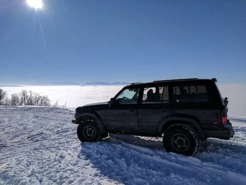 Ward Canyon Cruiser.webp