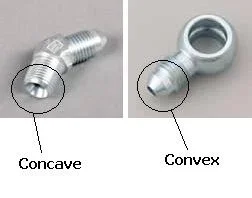 concave convex.webp