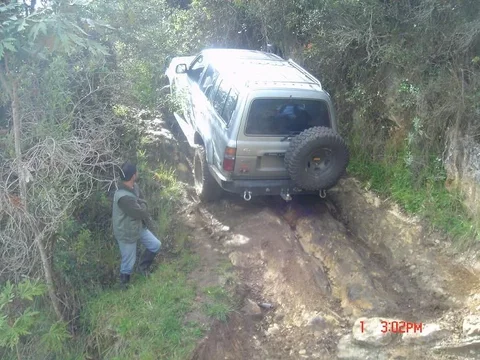 DSC02254.webp