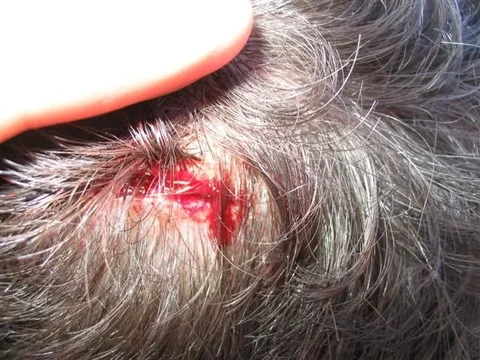 IMG_1352 (Small).webp