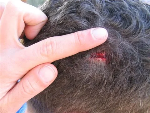 IMG_1354 (Small).webp