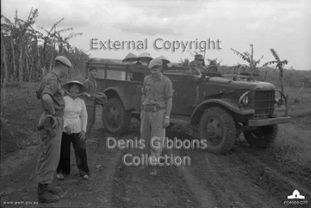 1967 7rar.webp