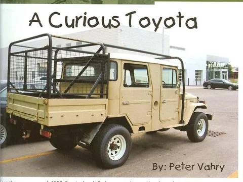 curious toy.webp