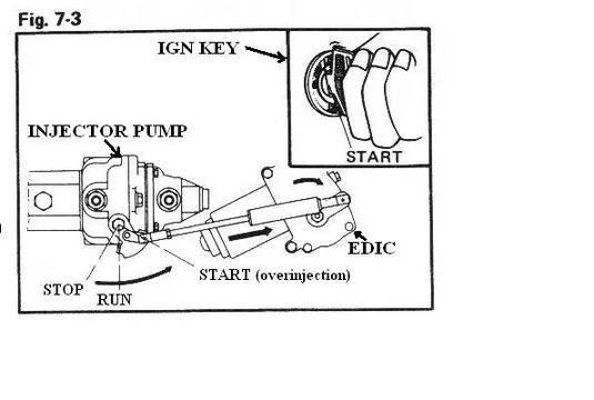 edic1.webp