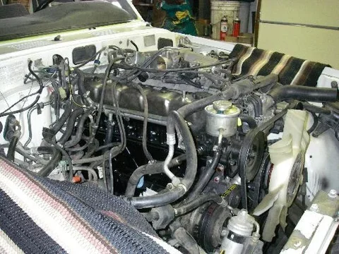 ls 2fe.webp