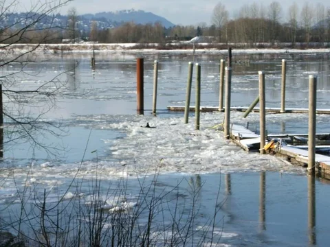 ice jam 003.webp