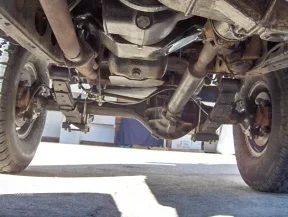 Underside forward view.webp