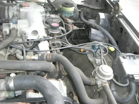 CIMG1177.webp