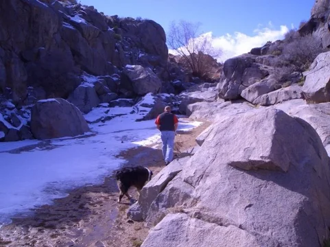 Mojave Road 007.webp