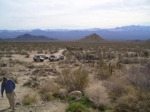 Mojave Road 014.webp
