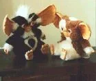 mogwai.jpg