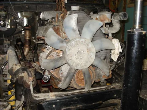 DSC05296.webp