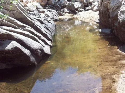 100_0671-2.webp