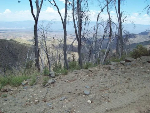 100_0736.webp