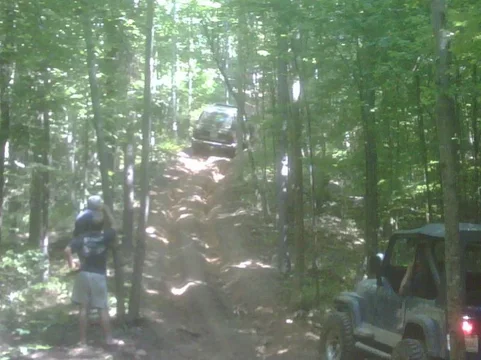 IMG00168-20090620-1017.webp