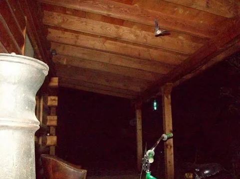 porchbat2.webp