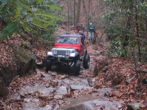 913 bug on trail2.webp