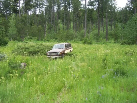 000_0850.webp 000_0850.webp