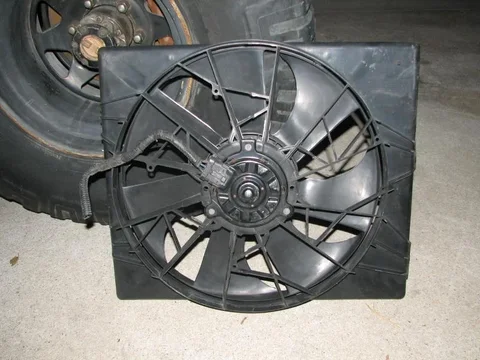 fan1.webp
