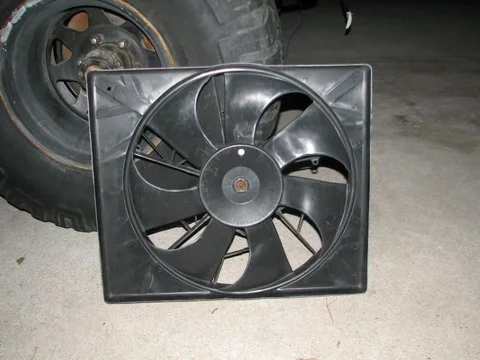 fan3.webp