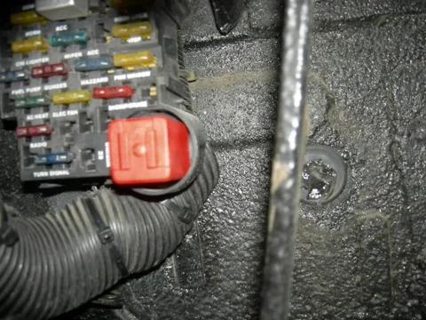 DSCN2978.webp