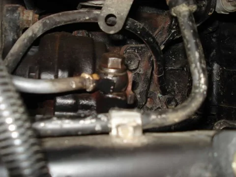 DSC05846.webp