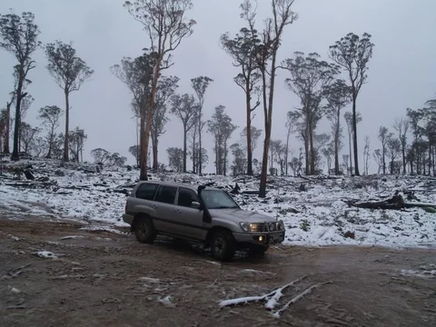 PA071290.webp