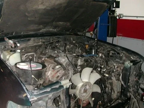 DSCN1241.webp