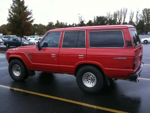 Cell Pictures 046.webp