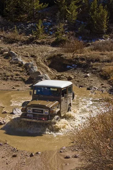 Caribou river crossing.webp
