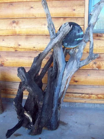 100_0964.webp