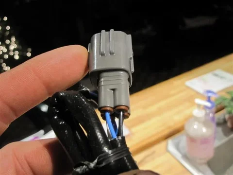 IMG_0354 (Large).webp