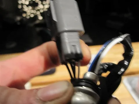 IMG_0355 (Large).webp