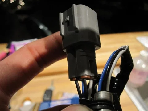 IMG_0356 (Large).webp