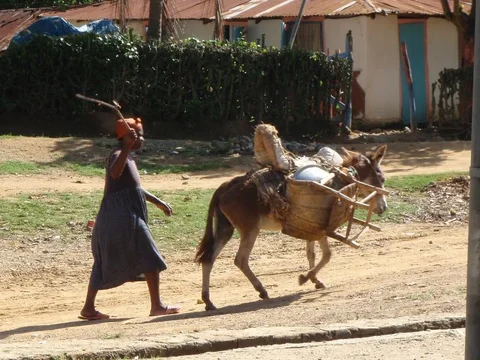 haiti Picture 003.webp