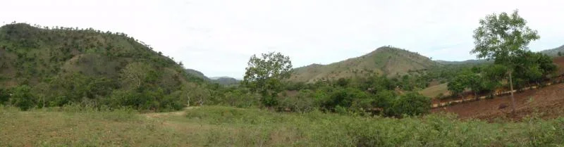 haiti Pictures 004.webp