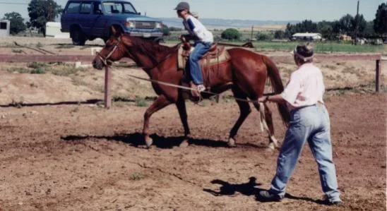 horses.webp