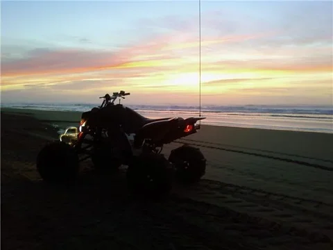 beachwheeler.webp