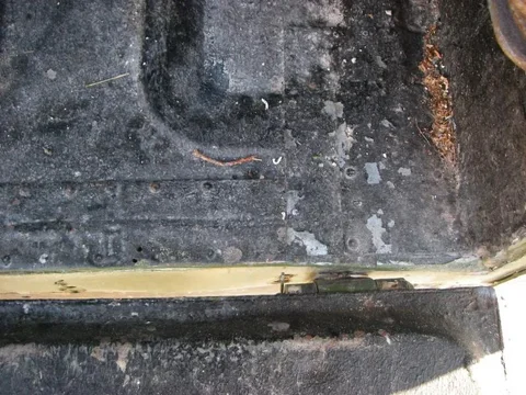 IMGP2100.webp