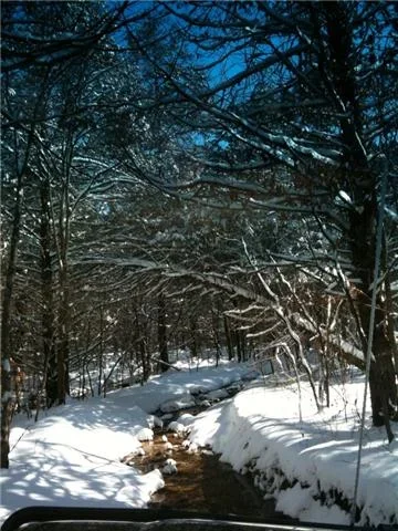 26.webp