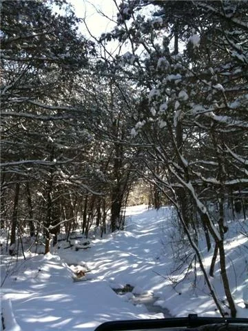 27.webp