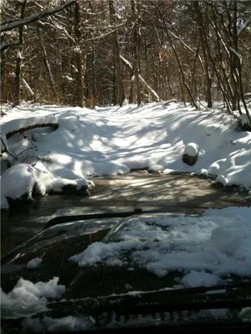 41.webp