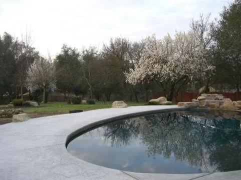 CA in Feb.webp